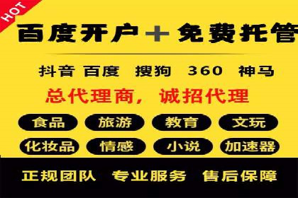XX领域竞价广告的投放策略及效果展示
